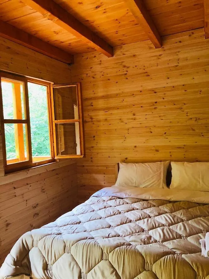 Guest house Park Blini Shala River Moll' e Shoshit Albania